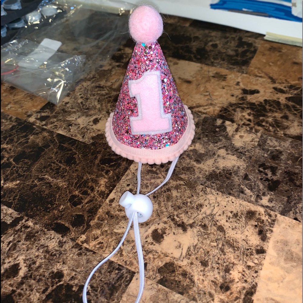 First Birthday Hat (use for dog or baby)